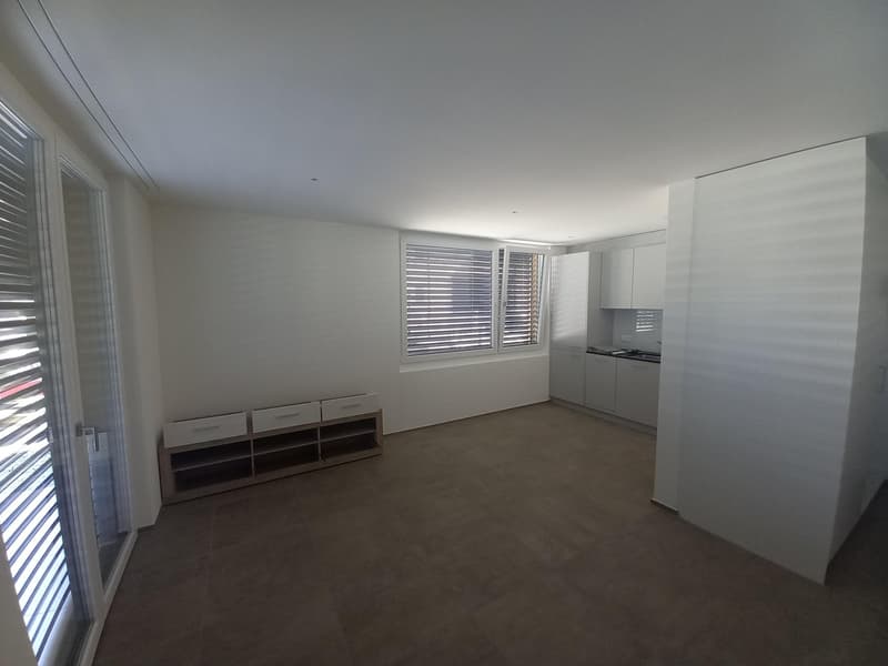 Moderne Wohnung für Einzelpersonen (4)
