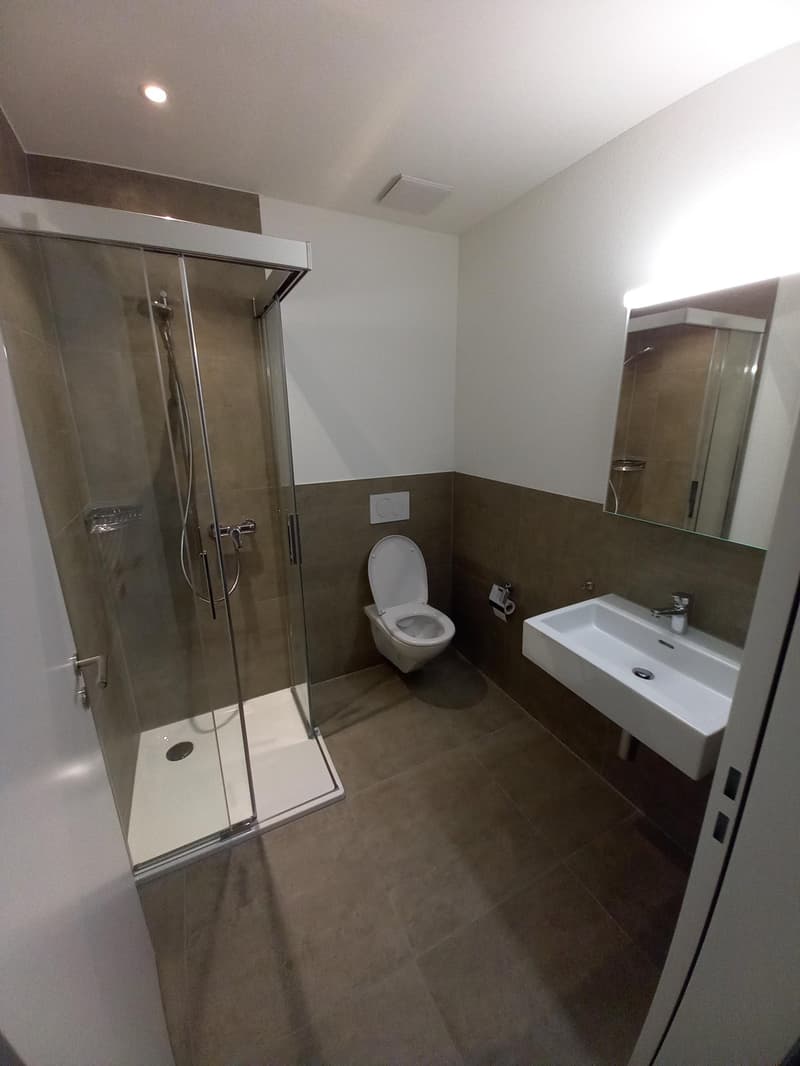 Moderne Wohnung für Einzelpersonen (6)