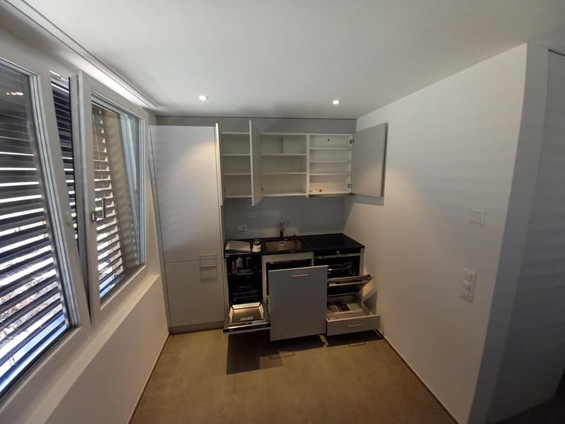 Moderne Wohnung für Einzelpersonen (5)