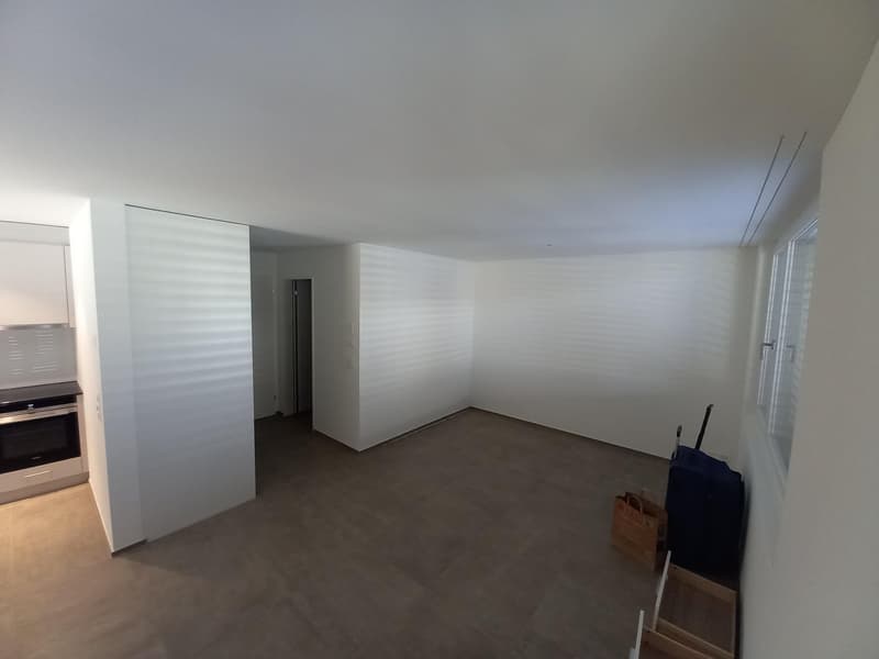 Moderne Wohnung für Einzelpersonen (2)
