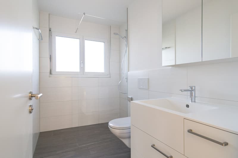 Neu renovierte Wohnung mit grossem Balkon! (11)