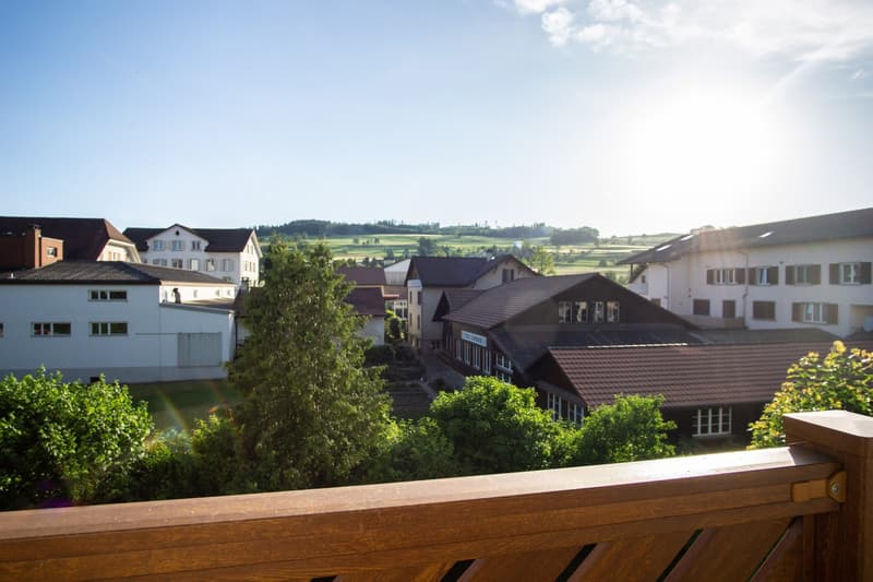 Neu renovierte Wohnung mit grossem Balkon! (1)