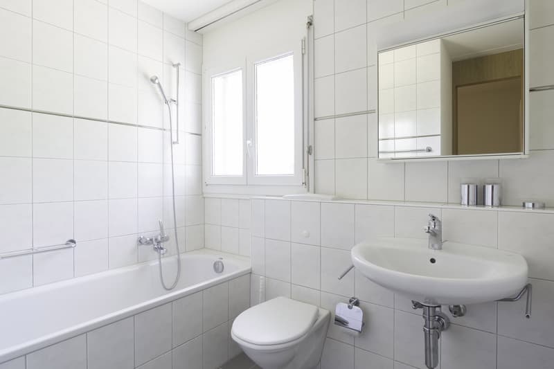 Frisch sanierte, ruhig gelegene Wohnung (4)