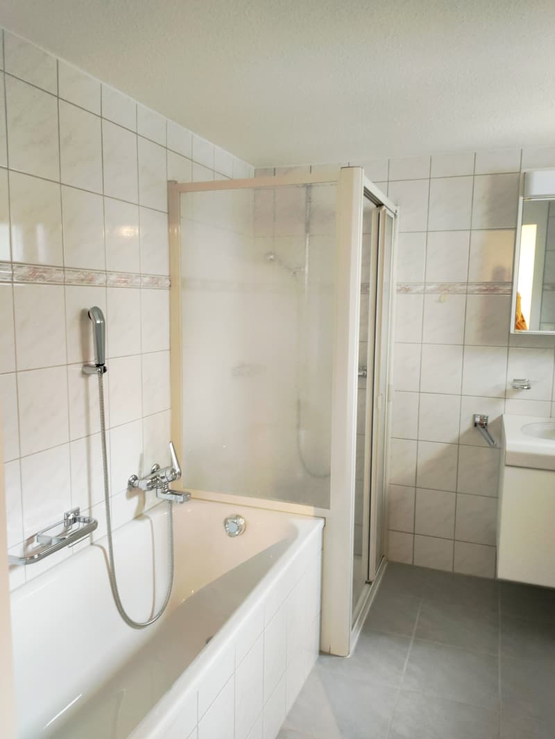 Historische 3 ½-Zimmerwohnung  mit grossem Gartenbereich (8)