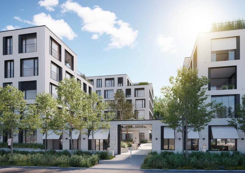 «Erstbezug» Moderne 3.5 Zimmer Attikawohnung mit grosser Dachterrasse, nur 20 Minuten von ZH (2)