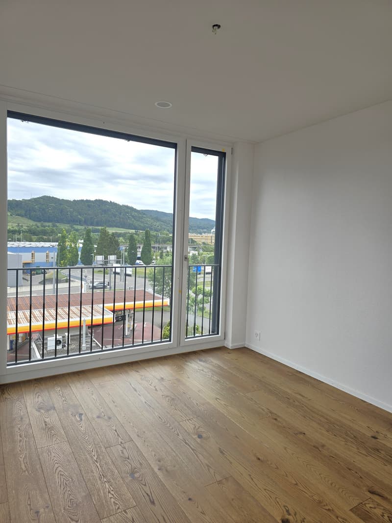«Erstbezug» Moderne 3.5 Zimmer Attikawohnung mit grosser Dachterrasse, nur 20 Minuten von ZH (5)