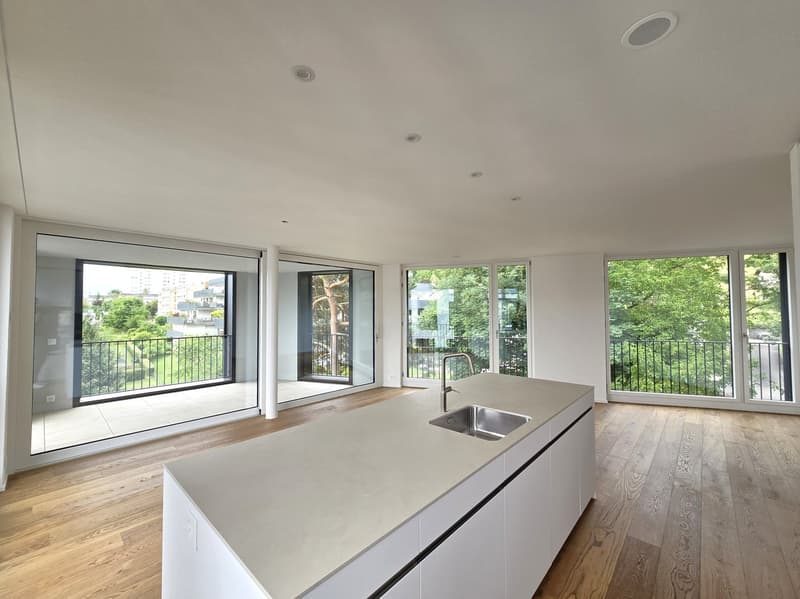 «Erstbezug» Moderne 4.5 Zimmer Neubauwohnungen, nur 20 Minuten von Zürich (4)