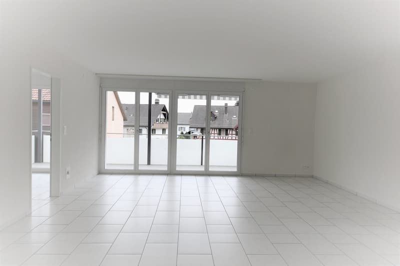 Sonnige 3.5 Zimmerwohnung (6)