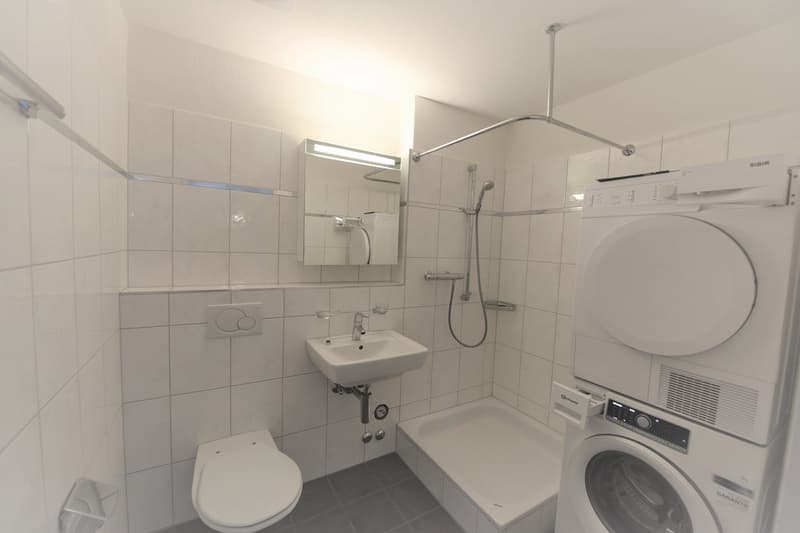 Sonnige 3.5 Zimmerwohnung (8)