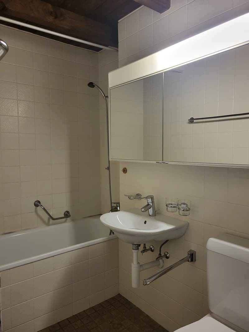 Wohnung an ruhiger Lage! (7)