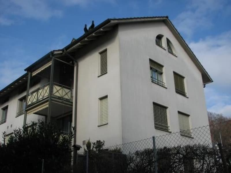 Sonnige, helle Wohnung mit Cheminée! (1)