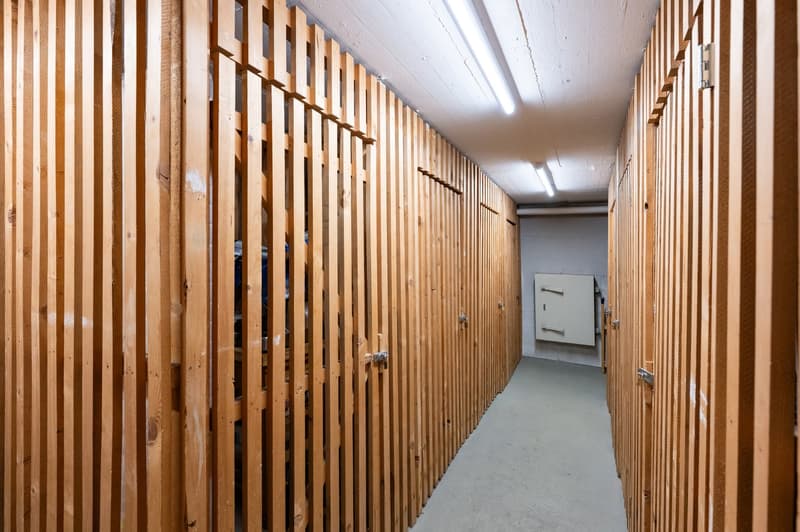 Charmante 3.5-Zimmer-Dachwohnung mit Balkon und Bergblick in Davos Platz (20)