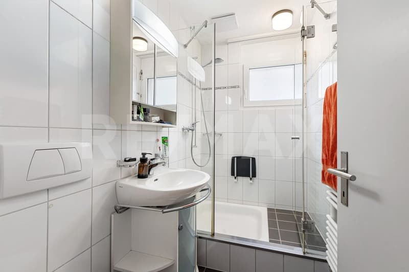 Spacious 4.5(-5.5)-room apartment on the 2nd floor with a view (12)