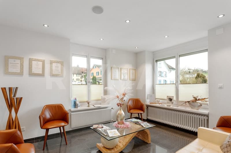 Stylish living with separate commercial space (dentist's practice rented) (3)