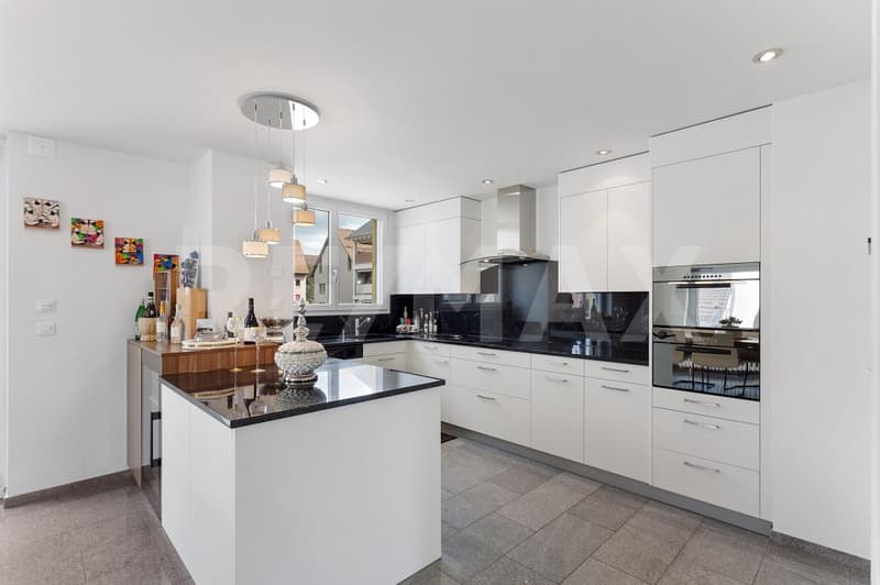 Stylish living with separate commercial space (dentist's practice rented) (9)