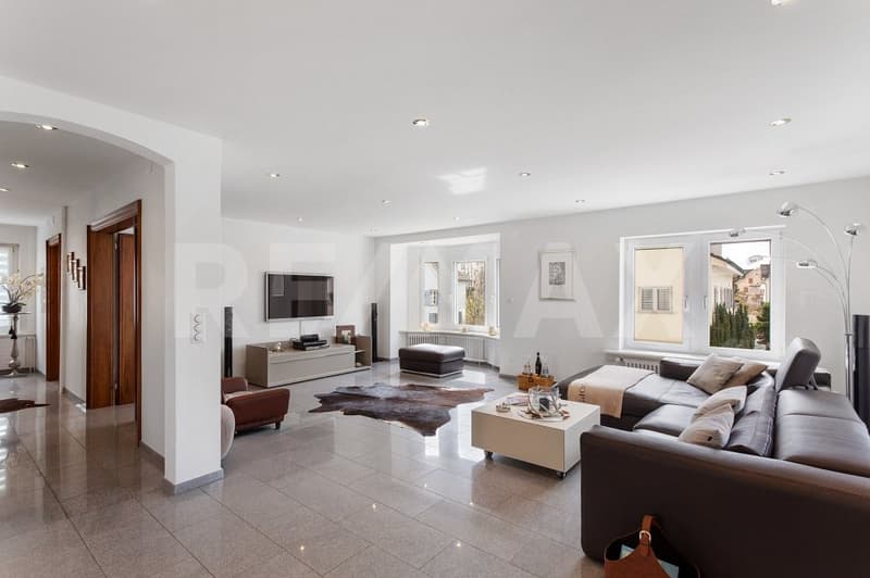 Stylish living with separate commercial space (dentist's office rented) (6)