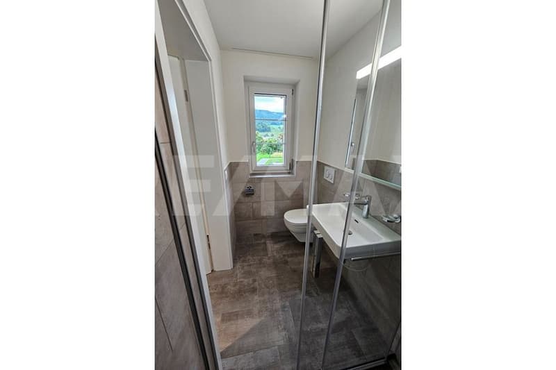 Ready-to-move-in 5.5-room owner-occupied apartment in an attractive residential location (9)