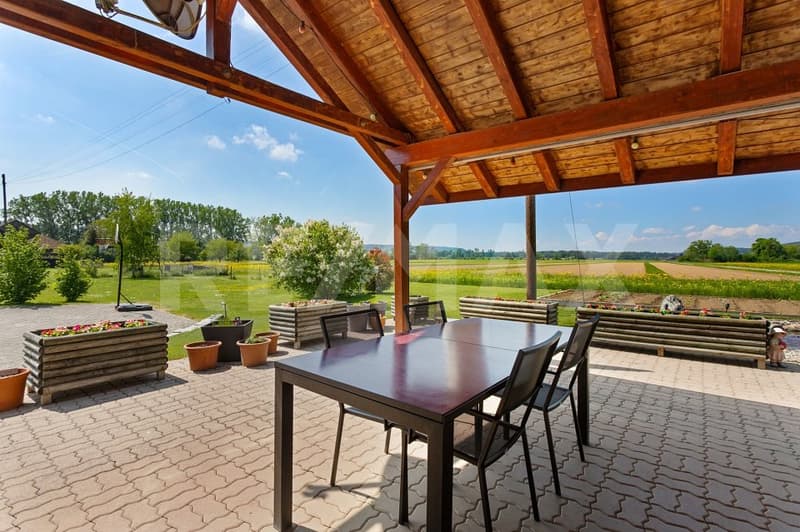 Nature-oriented 6.5-room single-family house with a lot of surrounding space (4)