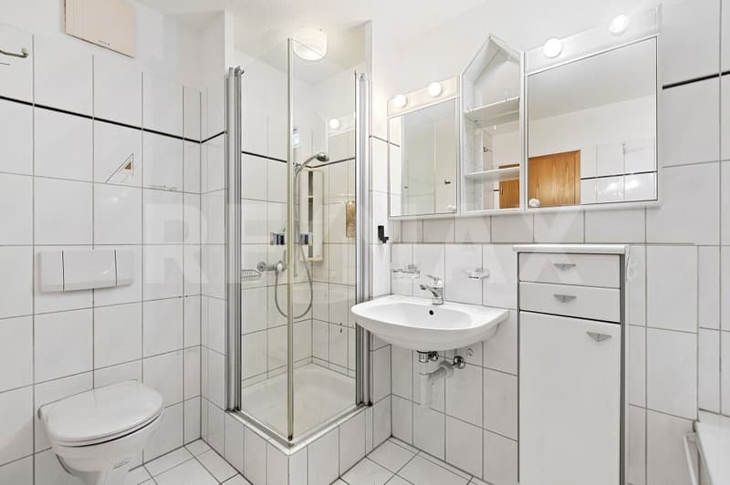 Charming 4.5-room attic apartment with sunny balcony and panoramic view (12)