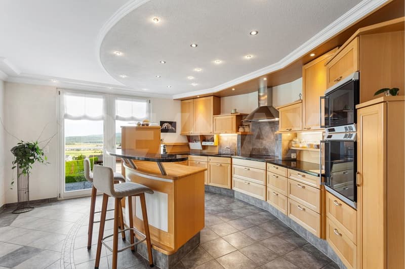 Grande casa familiare con vista panoramica, appartamento e potenziale di sviluppo (3)