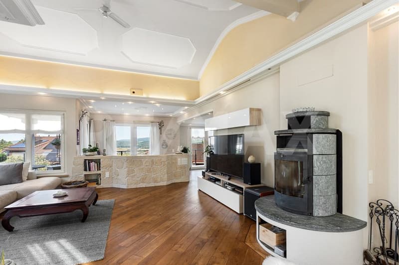 Grande casa familiare con vista panoramica, appartamento e potenziale di sviluppo (6)