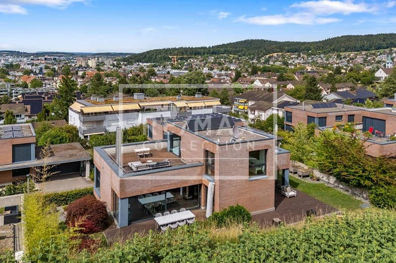 Exclusive 7-room single-family house with fantastic views (3)