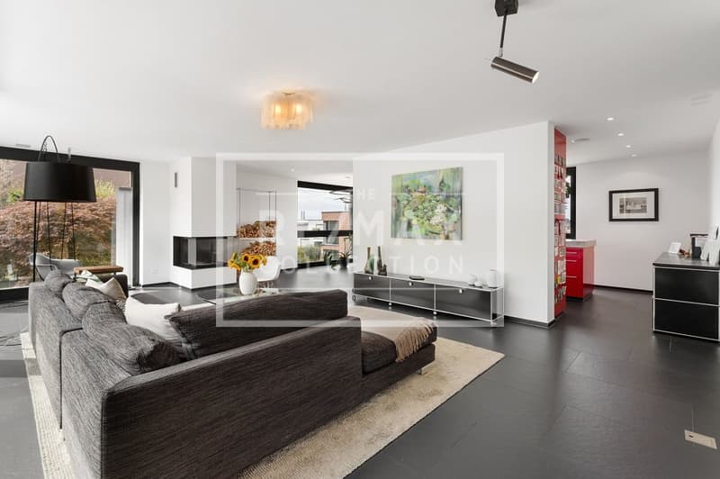 Exclusive 7-room single-family house with fantastic views (6)