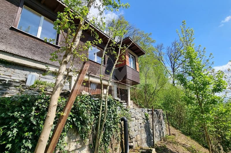 Gepflegtes Wochenendhaus mit diversen Nutzungsmöglichkeiten (4)