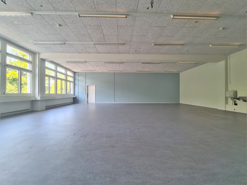 wide, open, empty room, grey walls, white ceiling, windows on one side