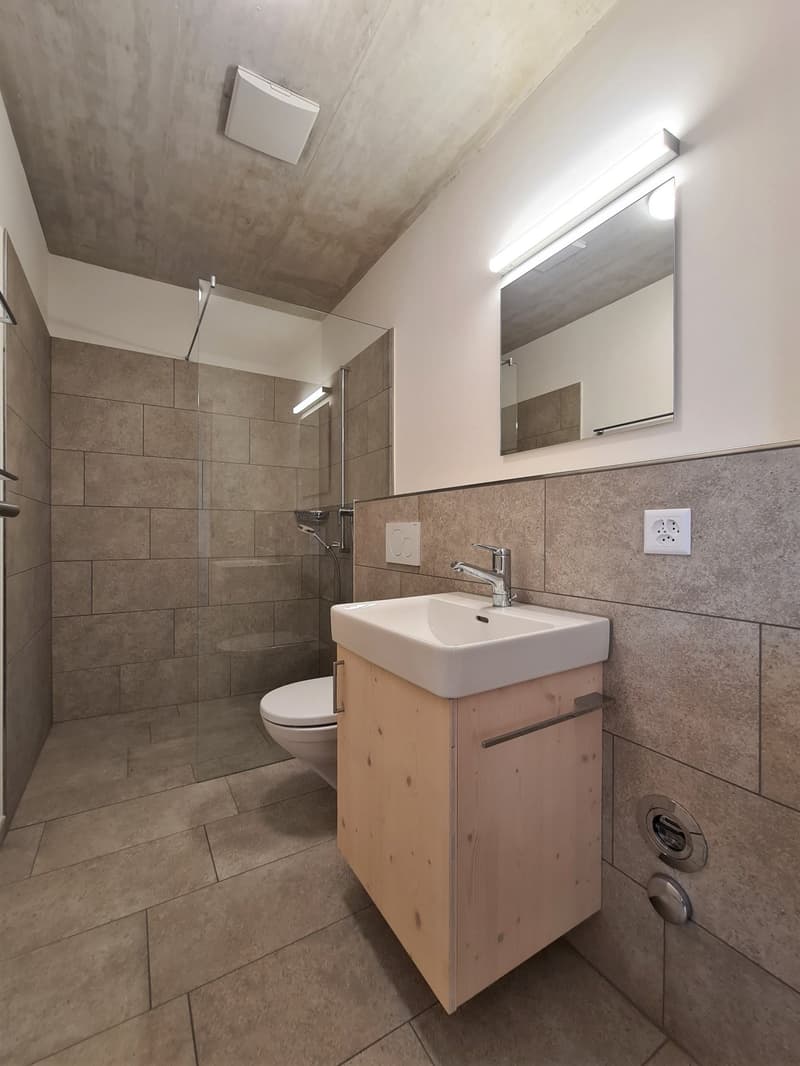 white sink, shower enclosure, mirror, wooden floor, power outlet, toilet