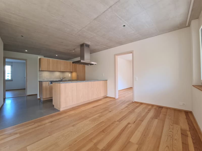 kitchen, island with stove, wooden cabinets, gray countertop, wooden floors, open design, light fixtures