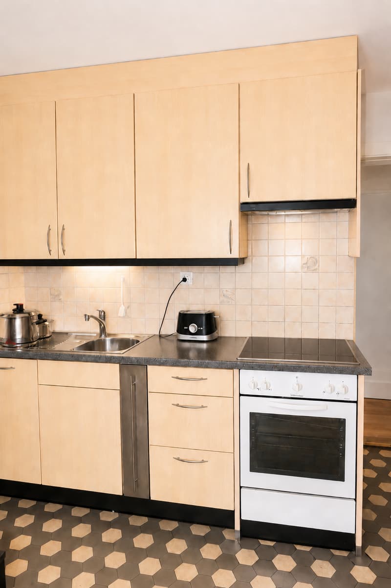 Appartamento di 4 camere direttamente al parco Horburg (4)