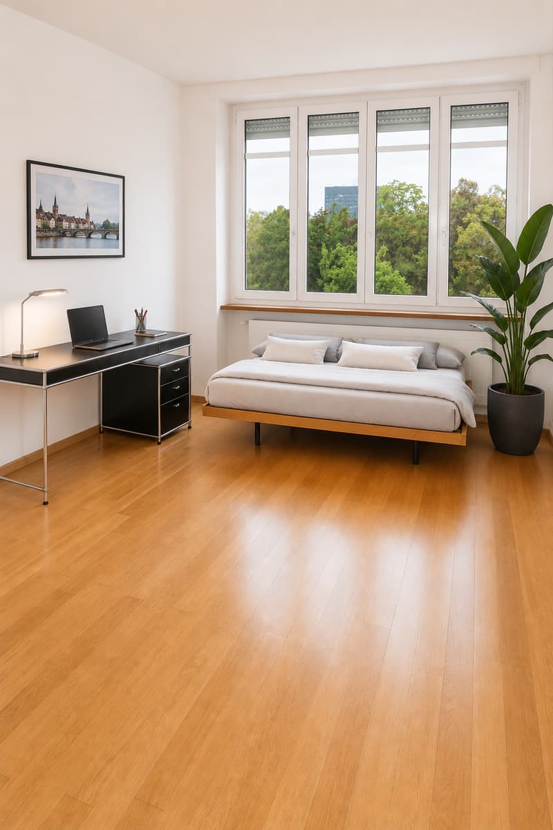 Appartamento di 4 camere direttamente al parco Horburg (7)