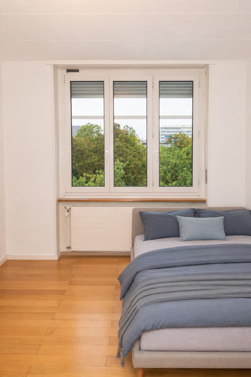 Appartamento di 4 camere direttamente al parco Horburg (6)