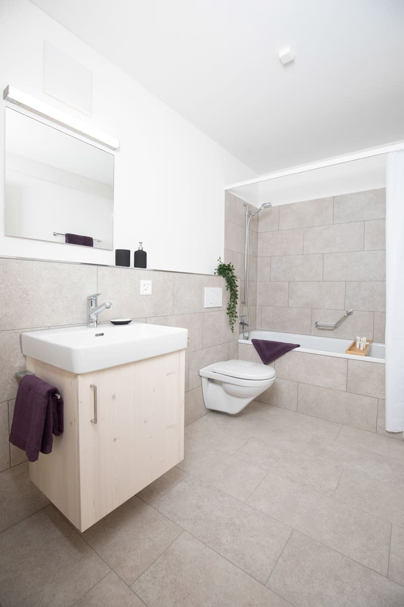 Bel appartement 3.5 pièces dans un environnement verdoyant (7)