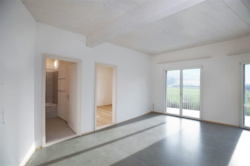 Bel appartement 3.5 pièces dans un environnement verdoyant (5)
