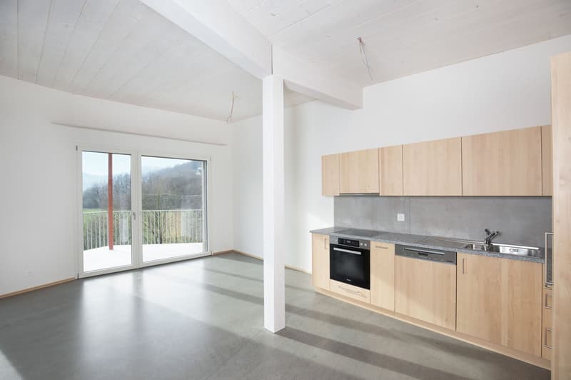 Bel appartement 3.5 pièces dans un environnement verdoyant (2)