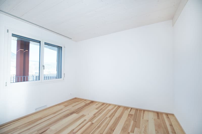 Attractive 2.5-room apartment in a beautiful location (6)