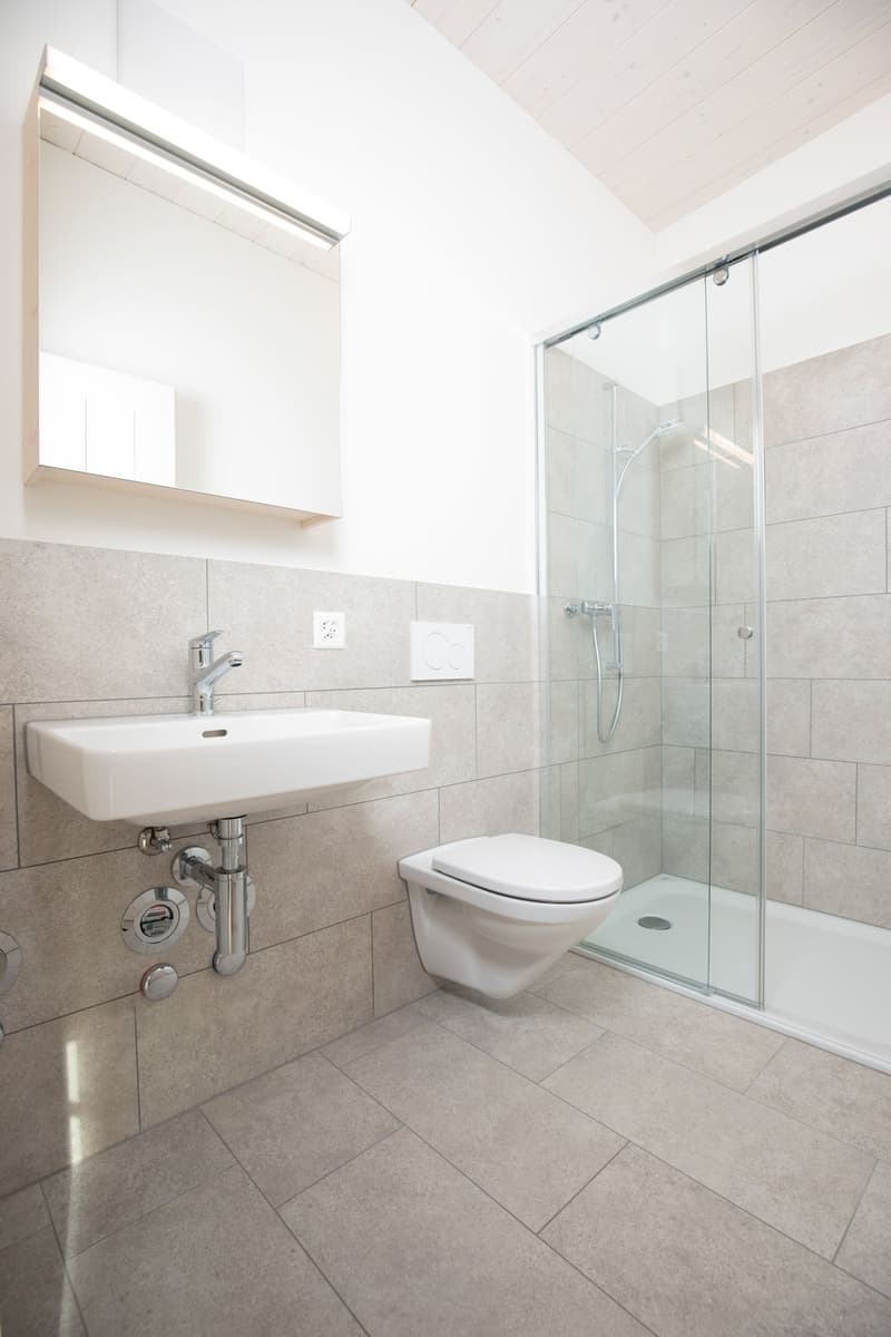Attractive 2.5-room apartment in a beautiful location (5)
