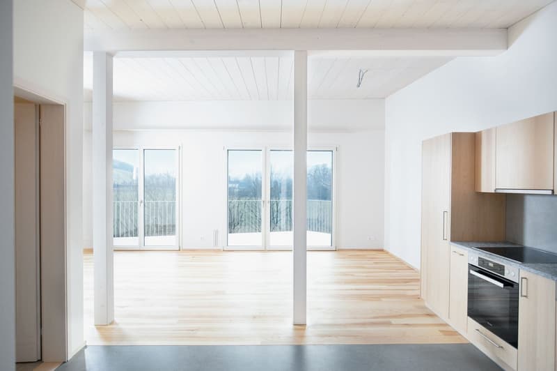 Attractive 2.5-room apartment in a beautiful location (2)
