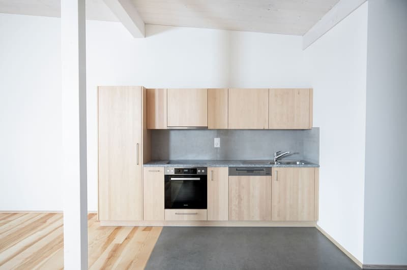 Attractive 2.5-room apartment in a beautiful location (4)