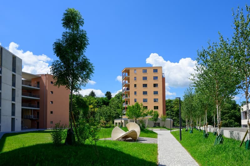 Attractive 2.5-room apartment in a beautiful location (1)
