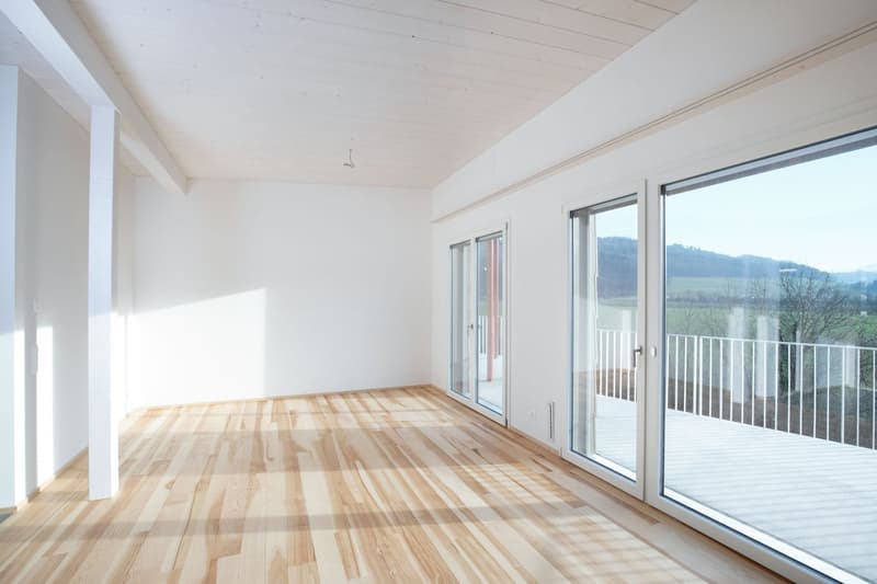 Attractive 2.5-room apartment in a beautiful location (3)