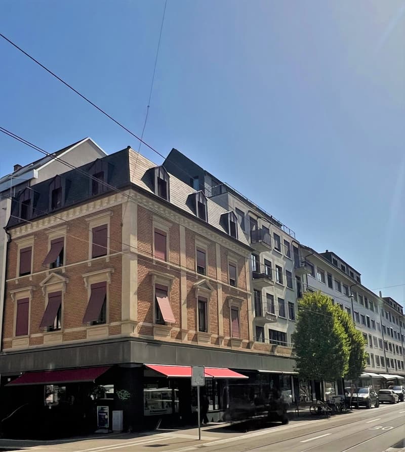 Appartement en cluster avec baignoire – dans le quartier de Gundeli (1)