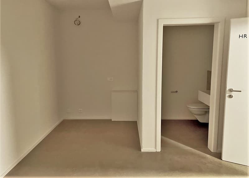 Hobbyraum mit Toilette in Liestal zu vermieten (3)