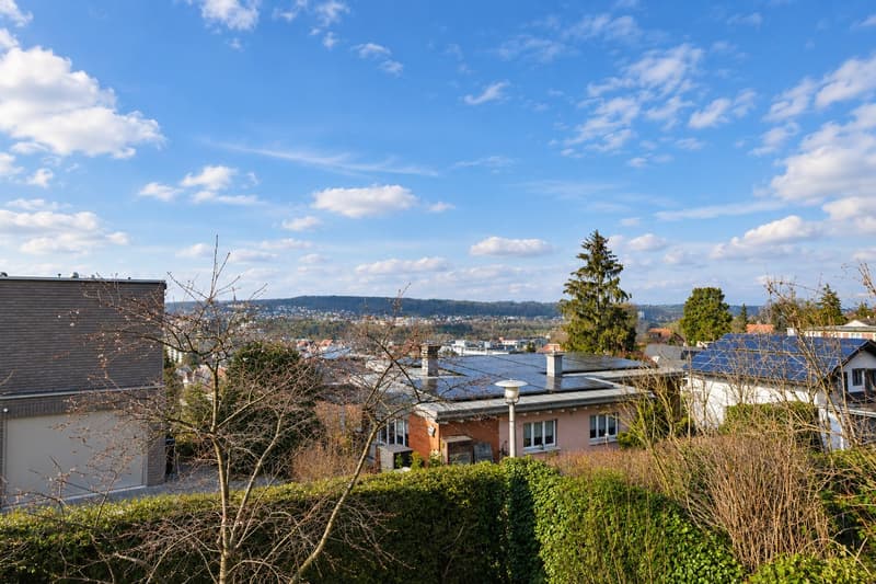 Charmante 4.5-Zimmer-Wohnung mit Terrasse in Dornach (8)