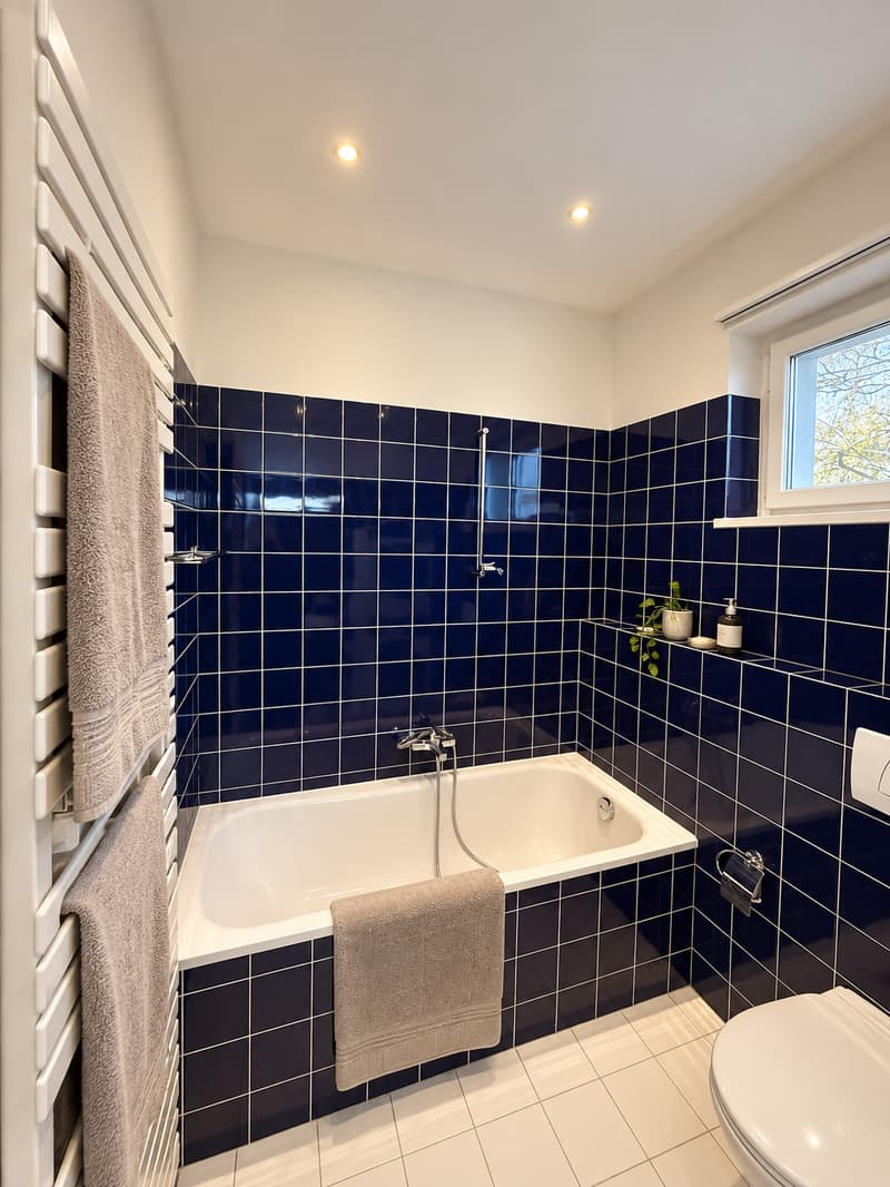 Charmante 4.5-Zimmer-Wohnung mit Terrasse in Dornach (5)