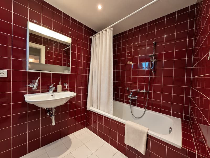 Gemütliche 3.5-Zimmer-Wohnung in Dornach (4)