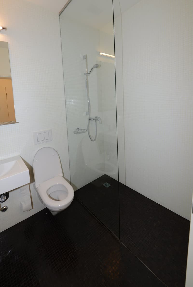 Exklusive 4.5-Zi-Wohnung an ruhiger Lage im schönen Gellert-Quartier (6)