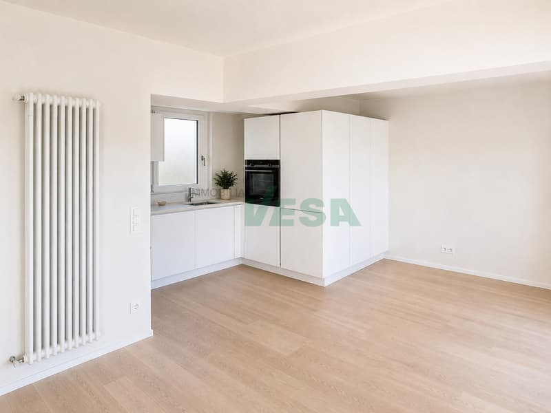 Splendido attico di 4,5 locali con spettacolare vista lago (6)
